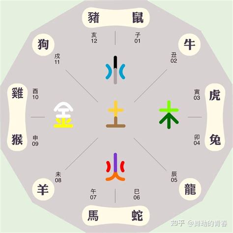 胡 五行|胡五行属什么的属性